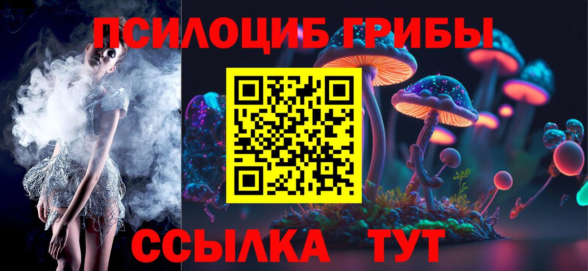 Псилоцибиновые грибы GOLDEN TEACHER Воронеж